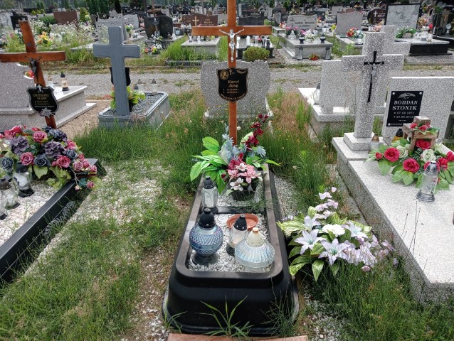 Grób Karol Jung